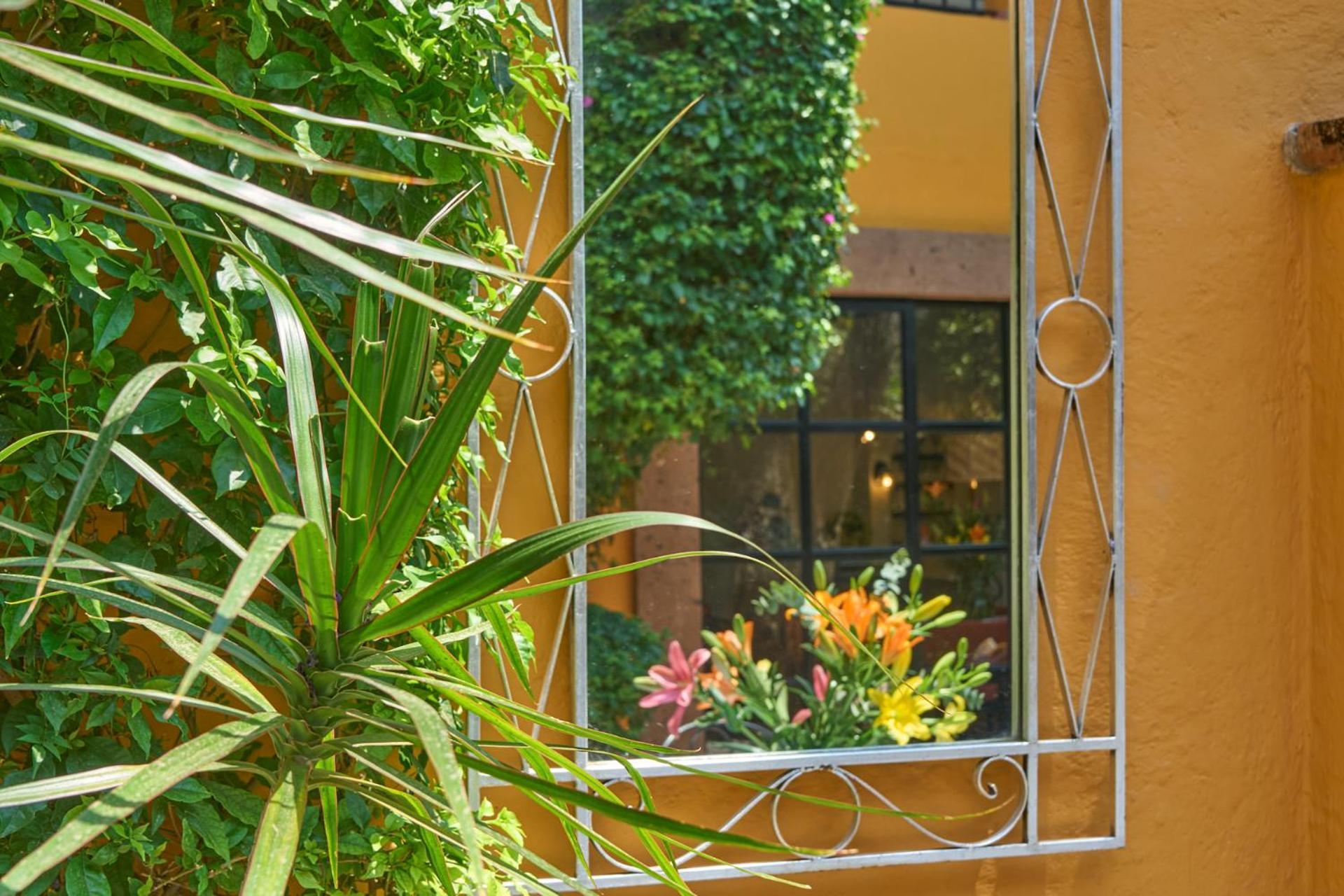 Casa Zaca, 3br Centro With Rooftop & Garden *