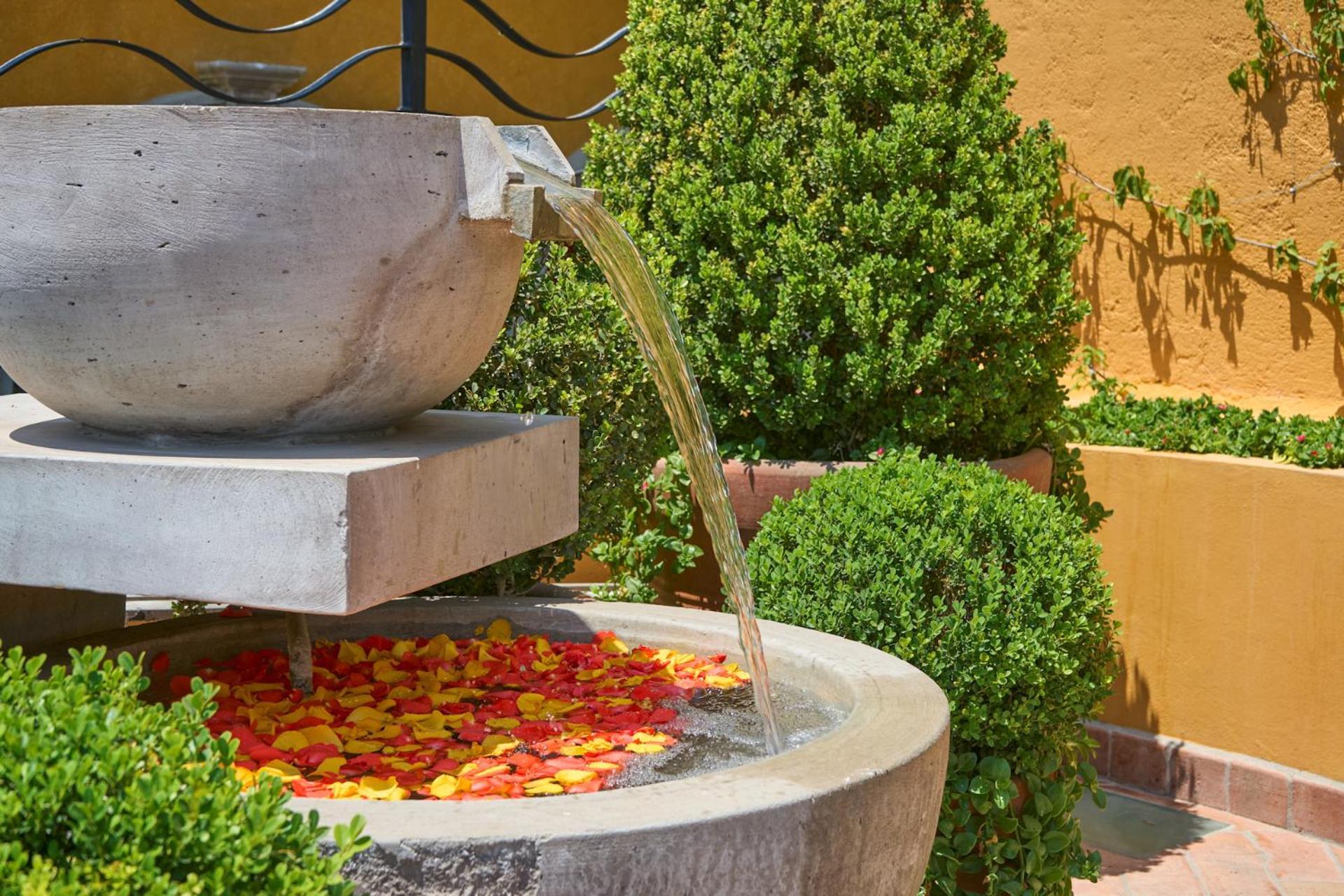 Casa Zaca, 3br Centro With Rooftop & Garden *